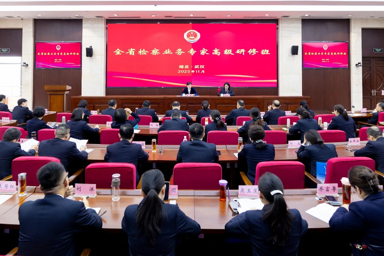 发挥检察业务专家“头雁效应”